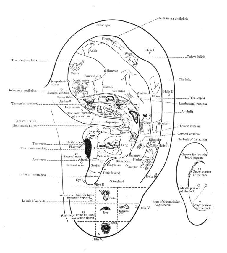 ear map